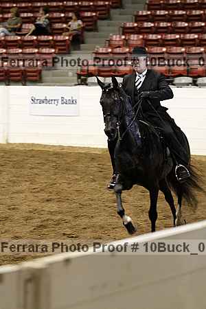Proof Number 10buck_0262