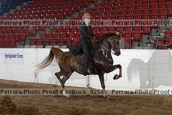 Proof Number 10buck_0264