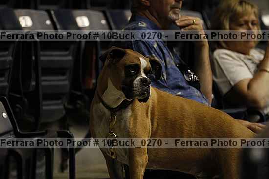 Proof Number 10buck_0270