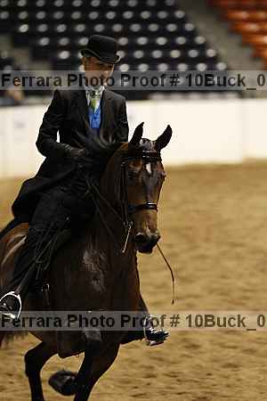 Proof Number 10buck_0284