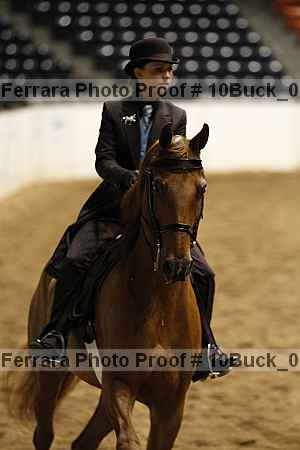 Proof Number 10buck_0290