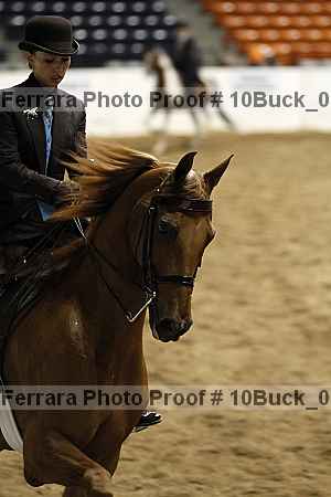 Proof Number 10buck_0311