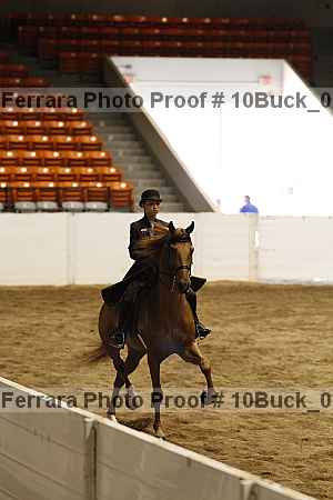 Proof Number 10buck_0325