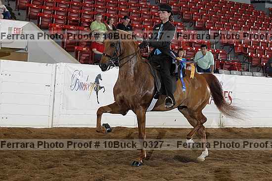 Proof Number 10buck_0327