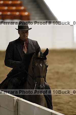 Proof Number 10buck_0332
