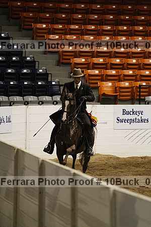 Proof Number 10buck_0335