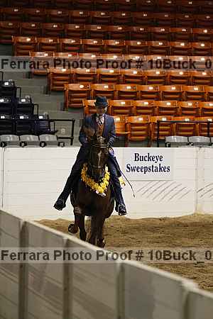 Proof Number 10buck_0338