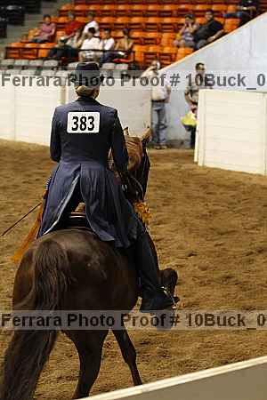 Proof Number 10buck_0343