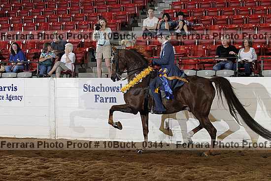 Proof Number 10buck_0344
