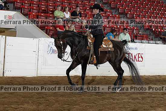 Proof Number 10buck_0381