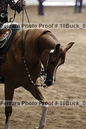 Proof Number 10buck_0387