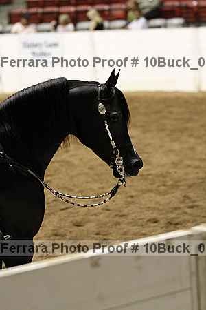 Proof Number 10buck_0398