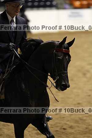 Proof Number 10buck_0407