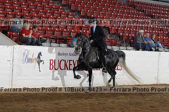 Proof Number 10buck_0423