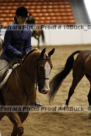 Proof Number 10buck_0477