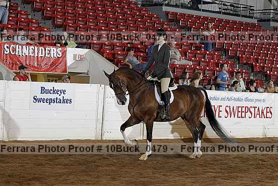Proof Number 10buck_0479