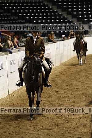 Proof Number 10buck_0491