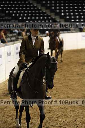 Proof Number 10buck_0492