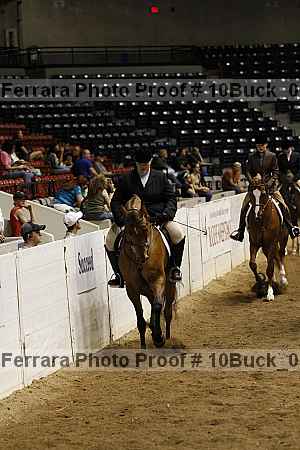 Proof Number 10buck_0506