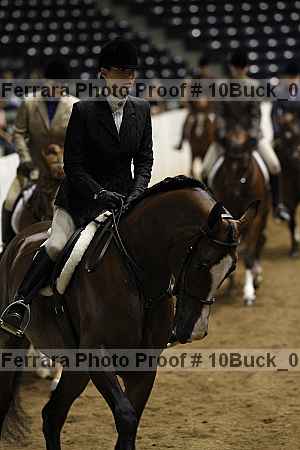 Proof Number 10buck_0515