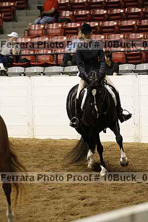 Proof Number 10buck_0525
