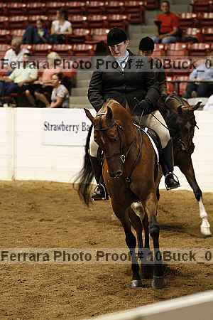 Proof Number 10buck_0529