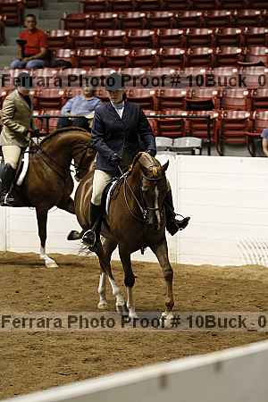 Proof Number 10buck_0530