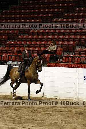 Proof Number 10buck_0563