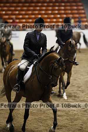 Proof Number 10buck_0606