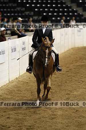 Proof Number 10buck_0608