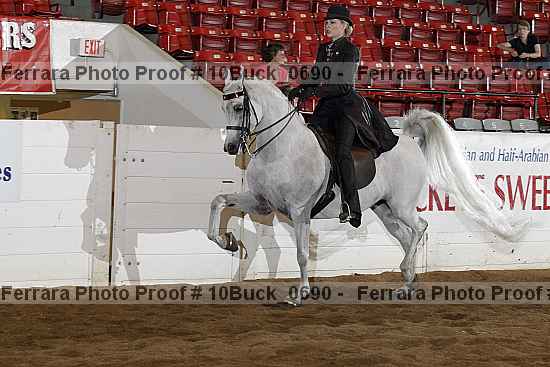 Proof Number 10buck_0690