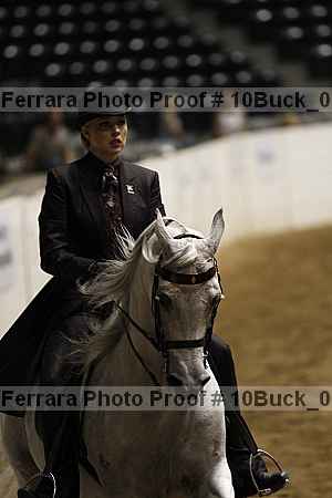 Proof Number 10buck_0691