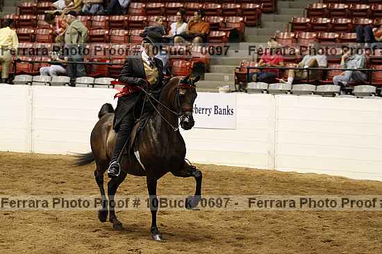Proof Number 10buck_0697