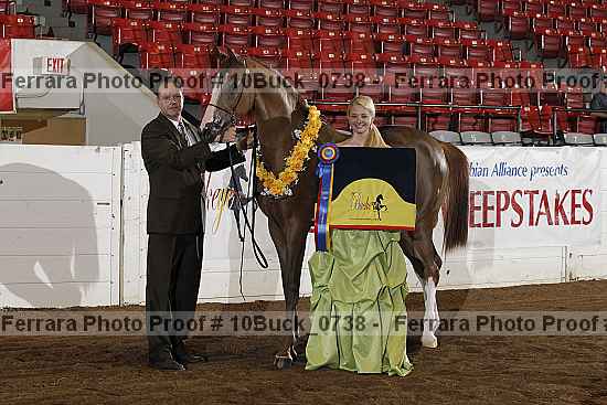 Proof Number 10buck_0738