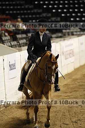 Proof Number 10buck_0773