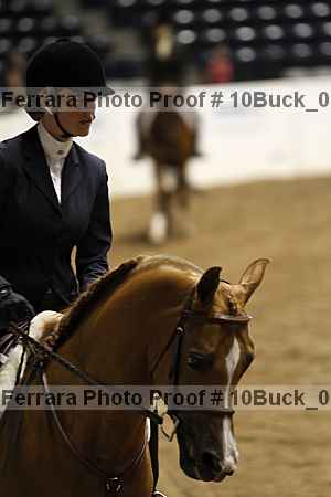 Proof Number 10buck_0785