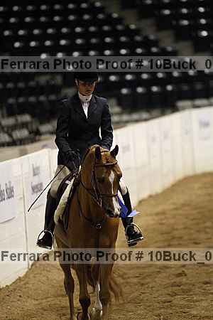 Proof Number 10buck_0797