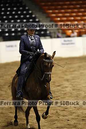 Proof Number 10buck_0857