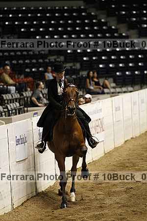 Proof Number 10buck_0877