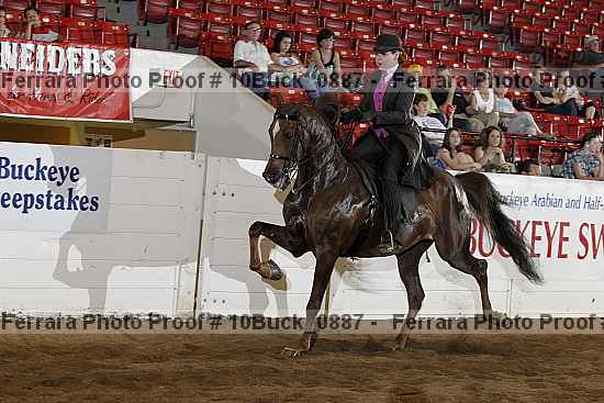 Proof Number 10buck_0887