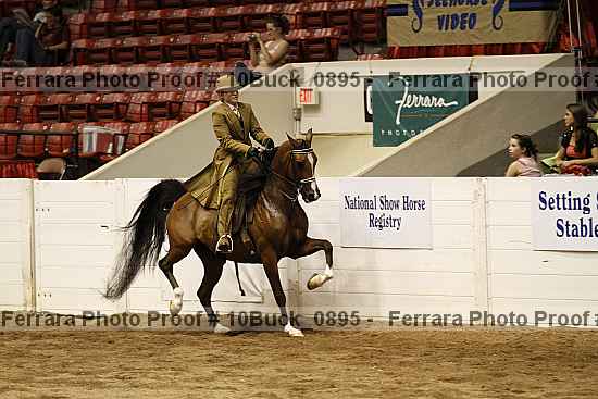 Proof Number 10buck_0895