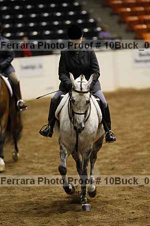Proof Number 10buck_0938