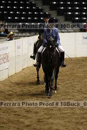 Proof Number 10buck_0943