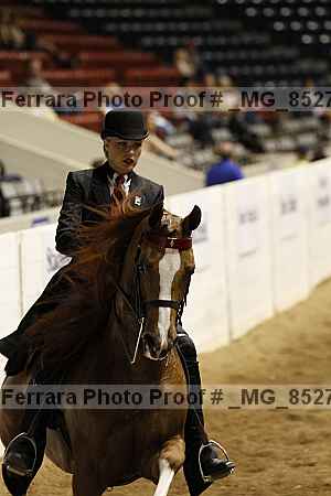 Proof Number _mg_8527