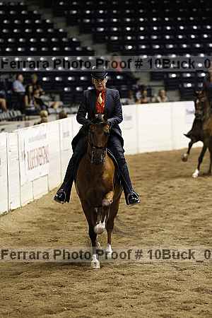Proof Number 10buck_0964