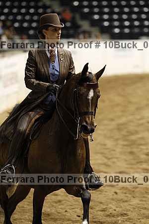 Proof Number 10buck_0971