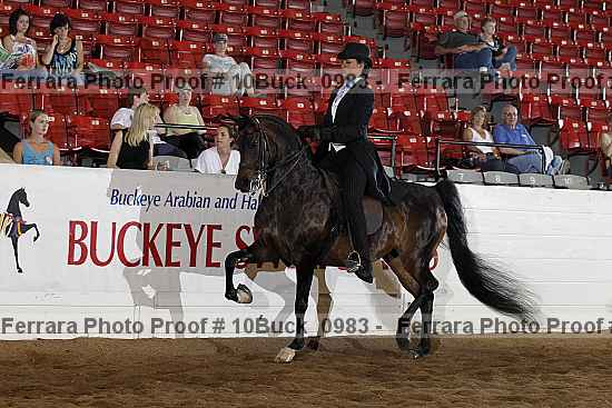 Proof Number 10buck_0983