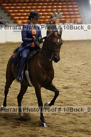 Proof Number 10buck_0990
