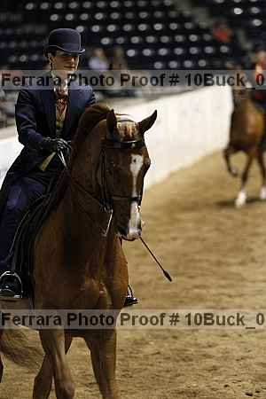 Proof Number 10buck_0993