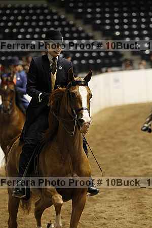 Proof Number 10buck_1025